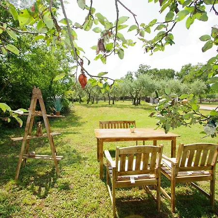 Nikolina Appartement